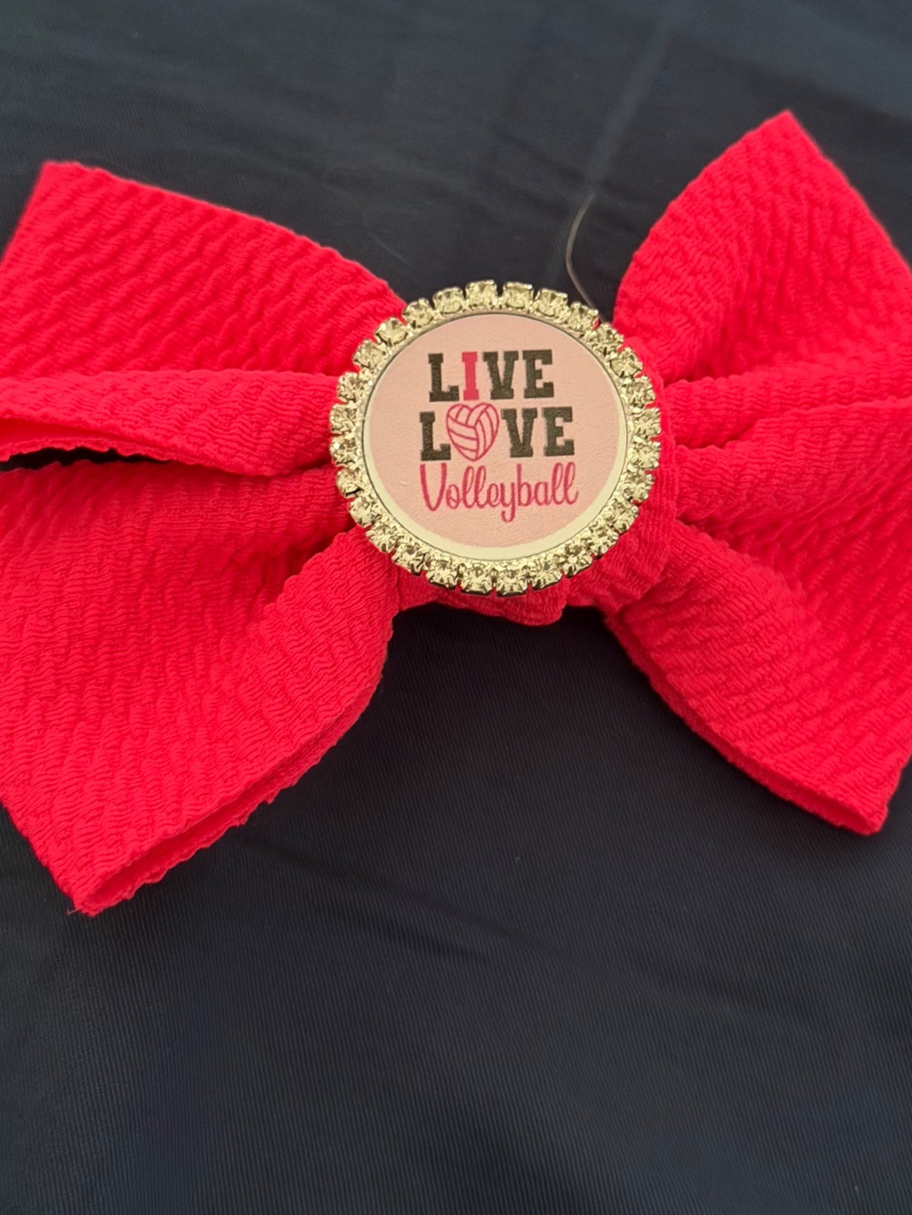 Volleyball Bow Accent with Gold Emblem
